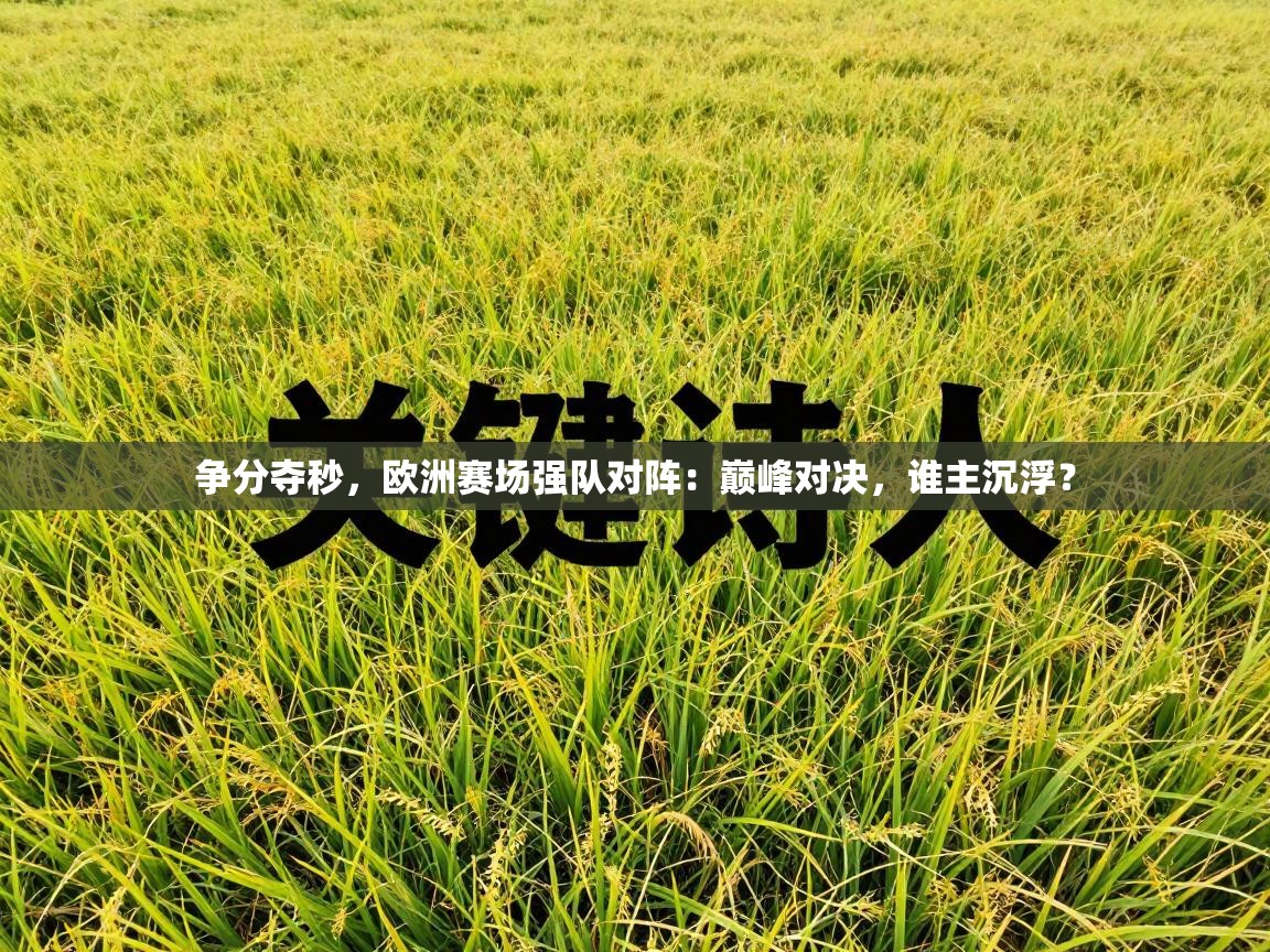 争分夺秒，欧洲赛场强队对阵：巅峰对决，谁主沉浮？