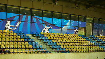 kaiyun开云体育-新加坡队未来计划：建立更完善的青少年乒乓培养体系，新加坡乒乓球运动